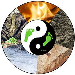 vijf elementen logo